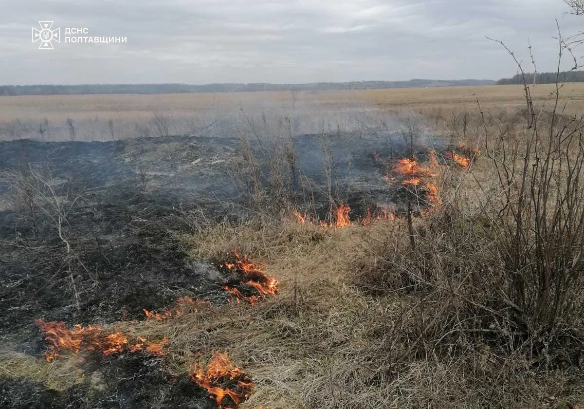 У Полтавській області оголосили надзвичайний рівень пожежної небезпеки