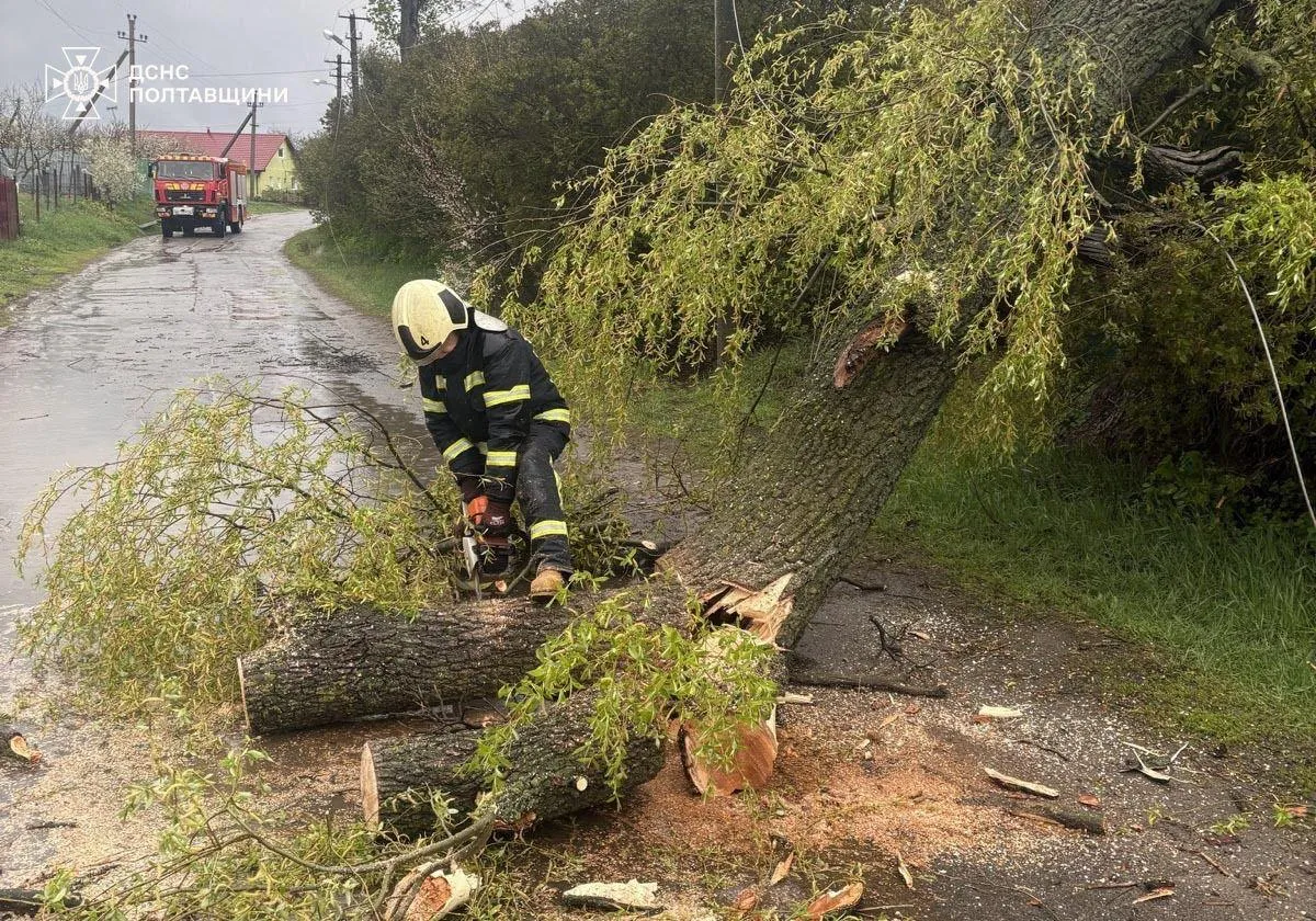 Падіння дерев, перебої зі світлом та пошкодження будівель – наслідки негоди на Полтавщині