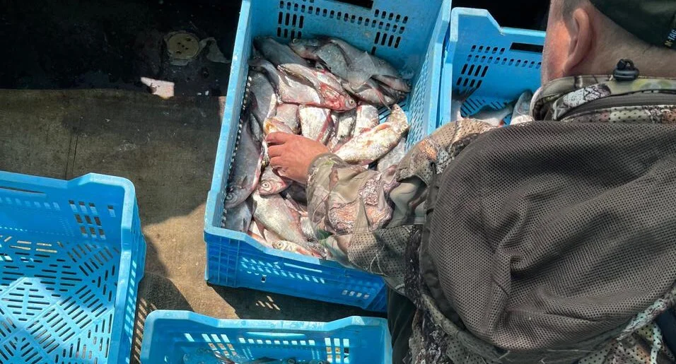 Понад 200 тисяч збитків: на Полтавщині затримали браконьєрів 