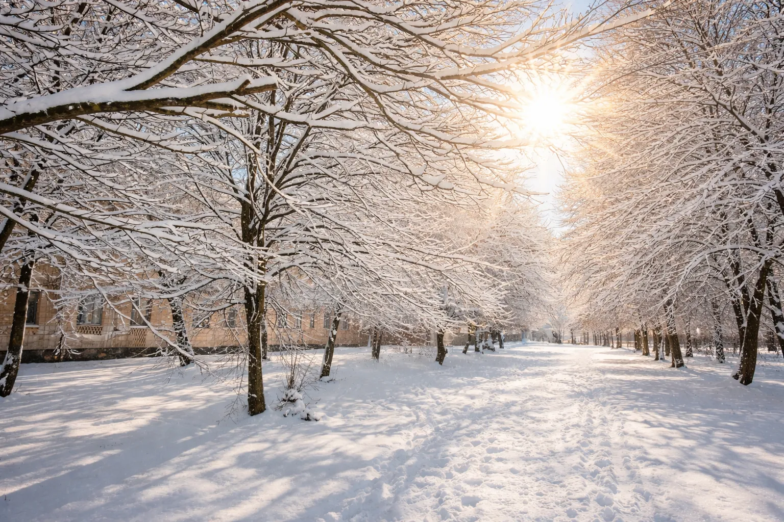 Як формується клімат України і яким він може стати в майбутньому