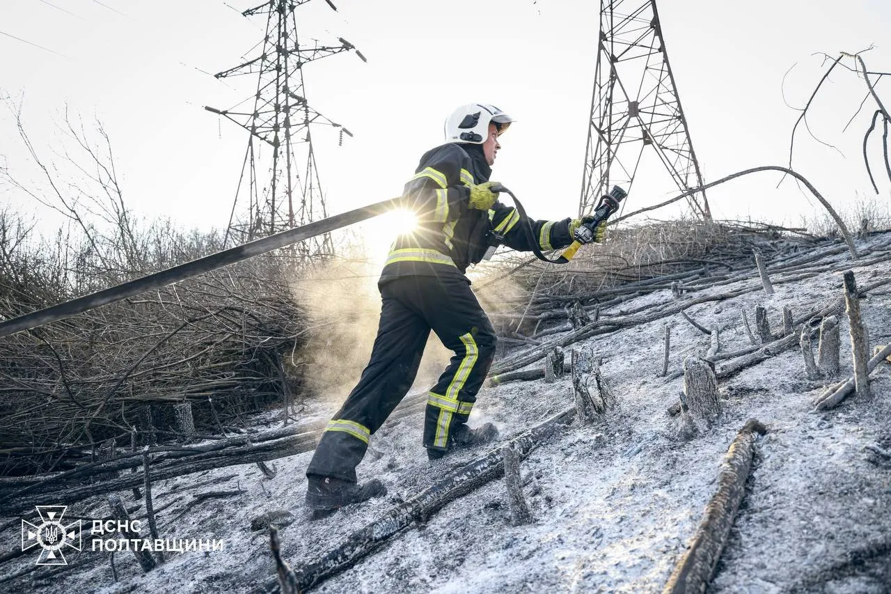 На Полтавщині вигоріло майже три гектари сухостою