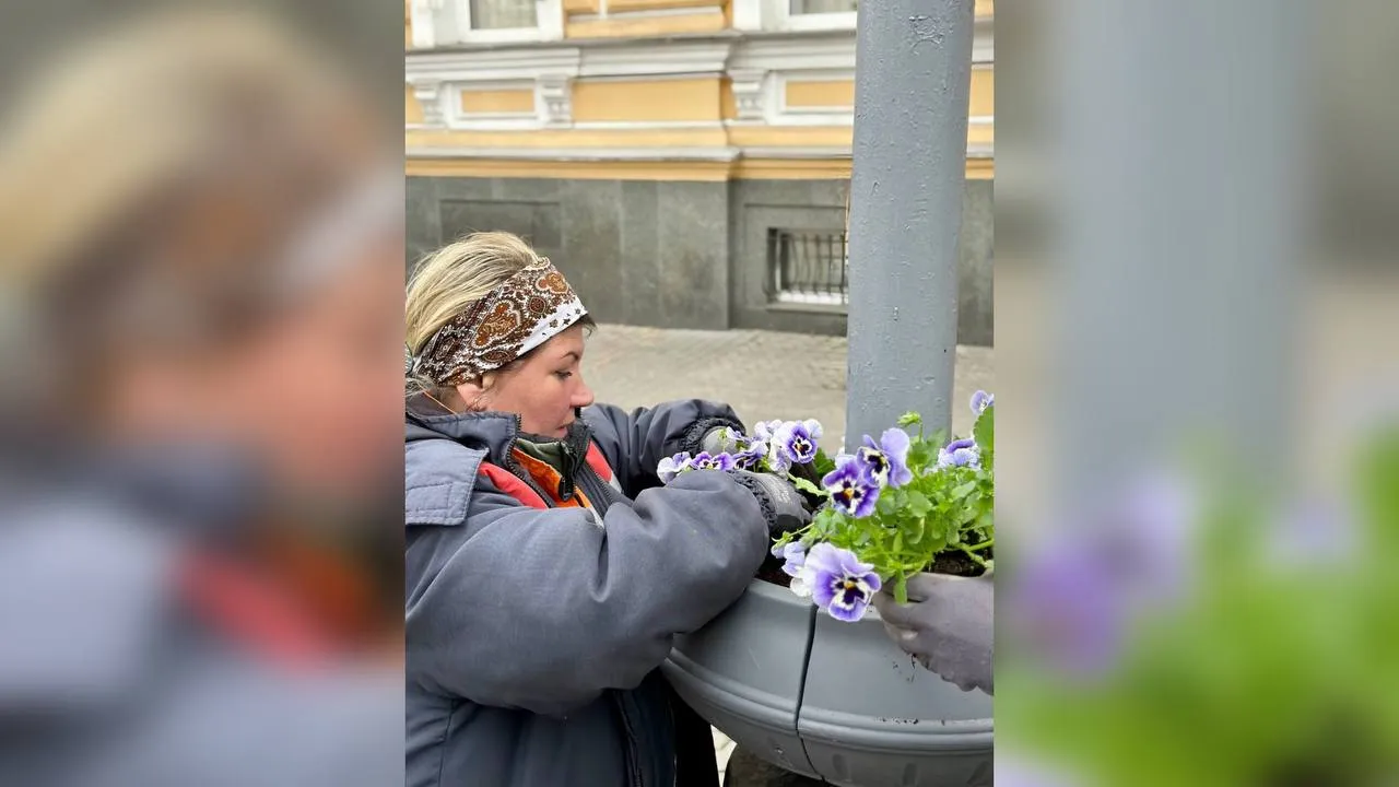 У Полтаві встановили 38 ваз із віолами 