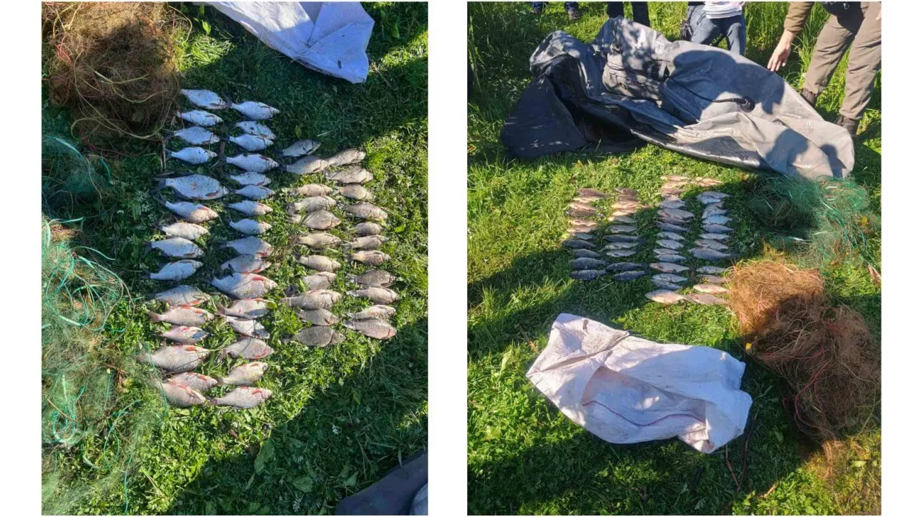 У Полтавській області затримали двох рибних браконьєрів