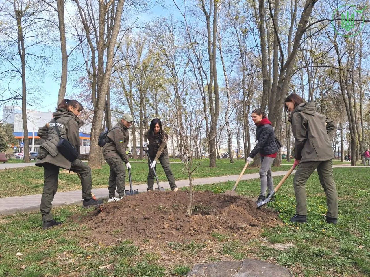 У Полтаві висадили понад 20 дерев у парку Котляревського