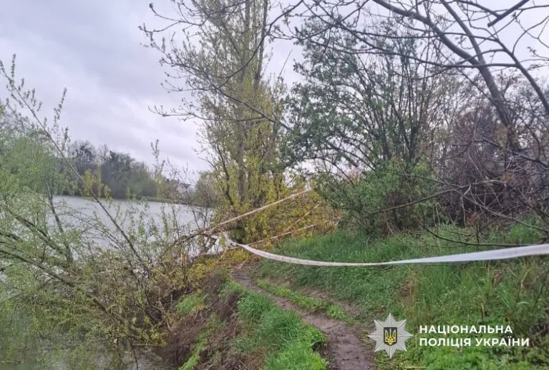 Покращився стан хлопчика, на якого під час негоди в Рибцях впало дерево