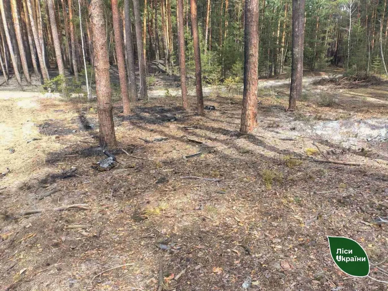 На Полтавщині лісівники ліквідували пожежу після падіння уламків російського безпілотника