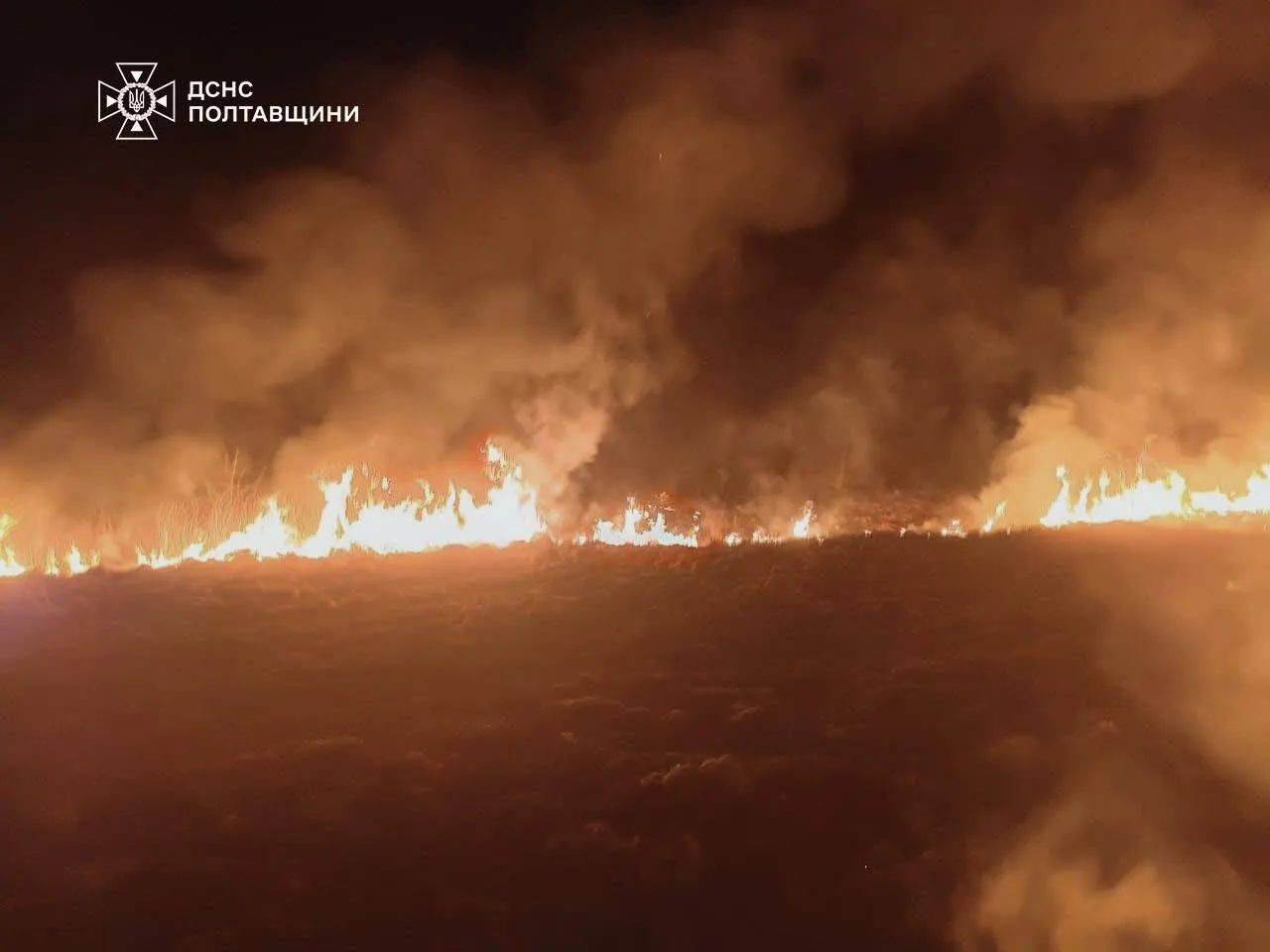 На Полтавщині за добу вигоріло 7,5 гектара сухостою