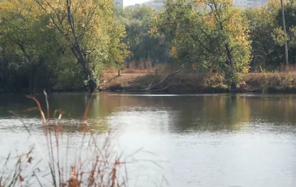 «Люди, ми це зробили»: вперше з 2007 року вода у Пушкарівських ставках чиста 