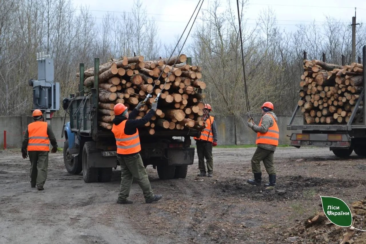Лісівники Полтавщини передали на фронт понад 4,6 тисячі кубометрів деревини