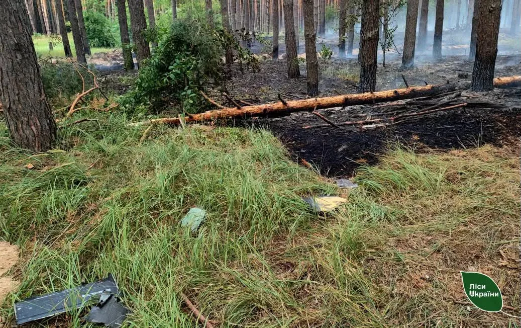 Через російський обстріл загорівся ліс на Полтавщині