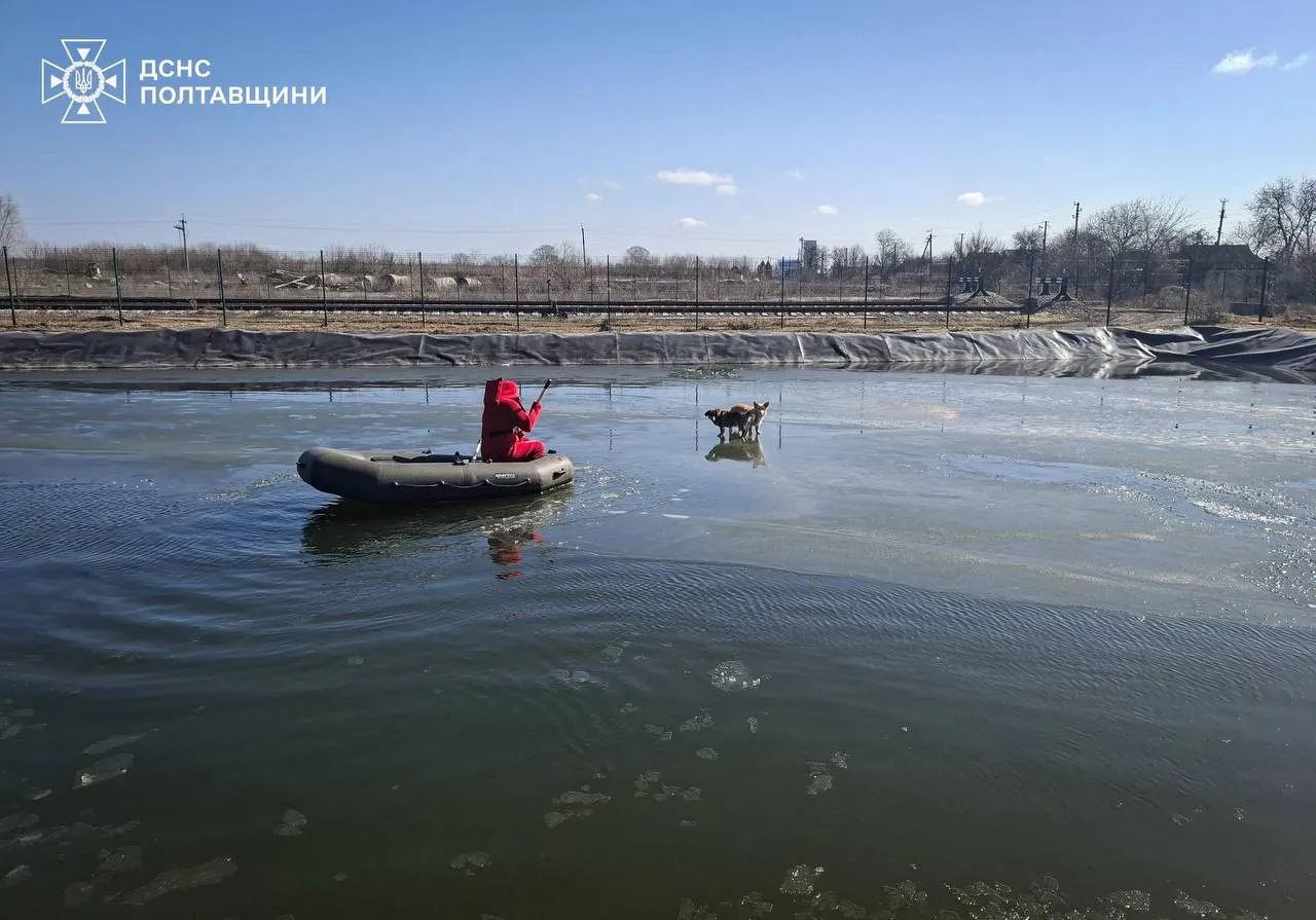На Полтавщині рятувальники зняли двох собак з крижини