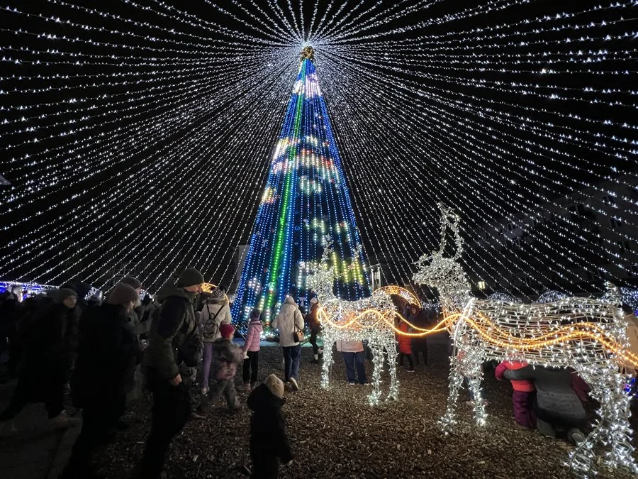 Влада Полтави повідомила про дату демонтажу новорічної ялинки