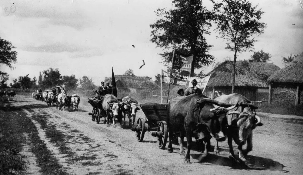 «Причина смерті» – українець: на Полтавщині у 1932-1933 роках від голоду померло близько мільйона людей