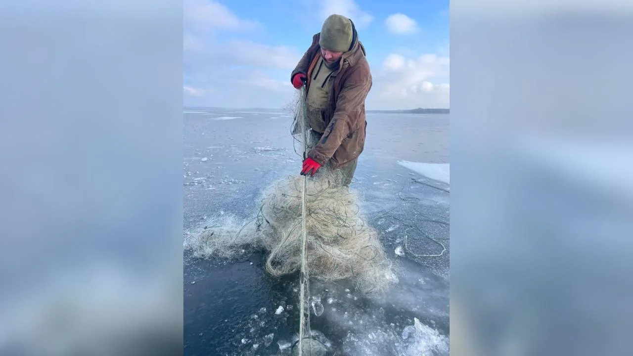 Екоінспекція зафіксувала порушення природоохоронного законодавства, зокрема на Полтавщині