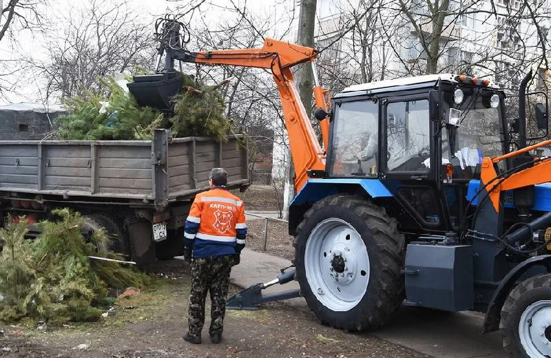 На Полтавщині збирають новорічні ялинки для утилізації
