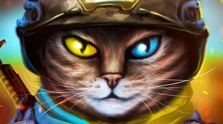 НАШІ КОТИКИ