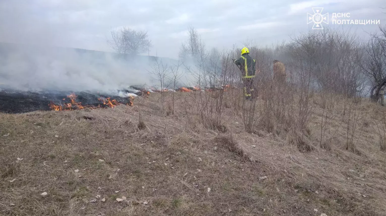 Сезонне випалювання сухостою: жахливі наслідки щорічного «прибирання»
