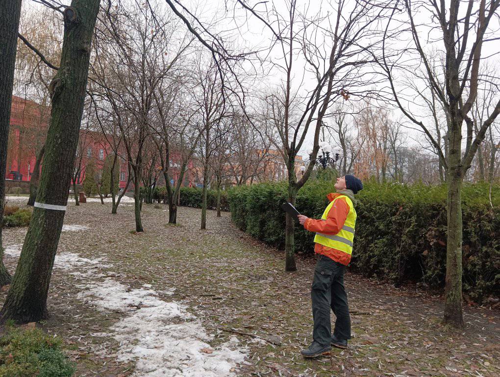 «Я хотів би боротися з парковками, бо в містах машини “з’їдають” дерева», – екоактивіст Максим Макуха про знищення дерев у Полтаві