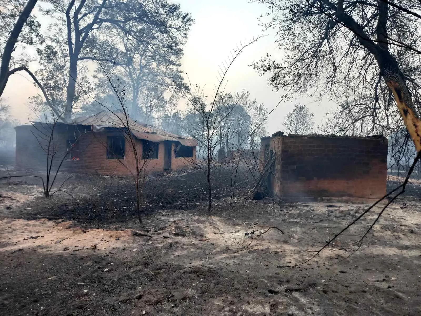 Масштабна лісова пожежа на Полтавщині: як оговтується постраждала від вогню Новосанжарська громада  