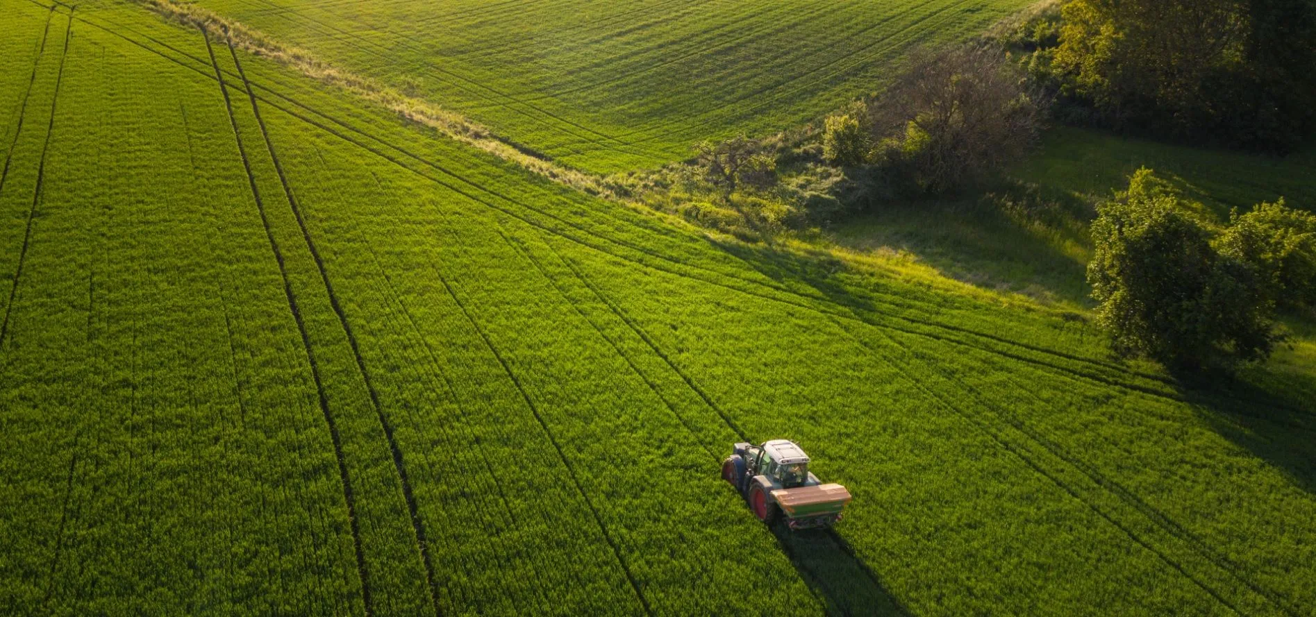 Сільськогосподарські землі Полтавської області є одними з найдорожчих в Україні
