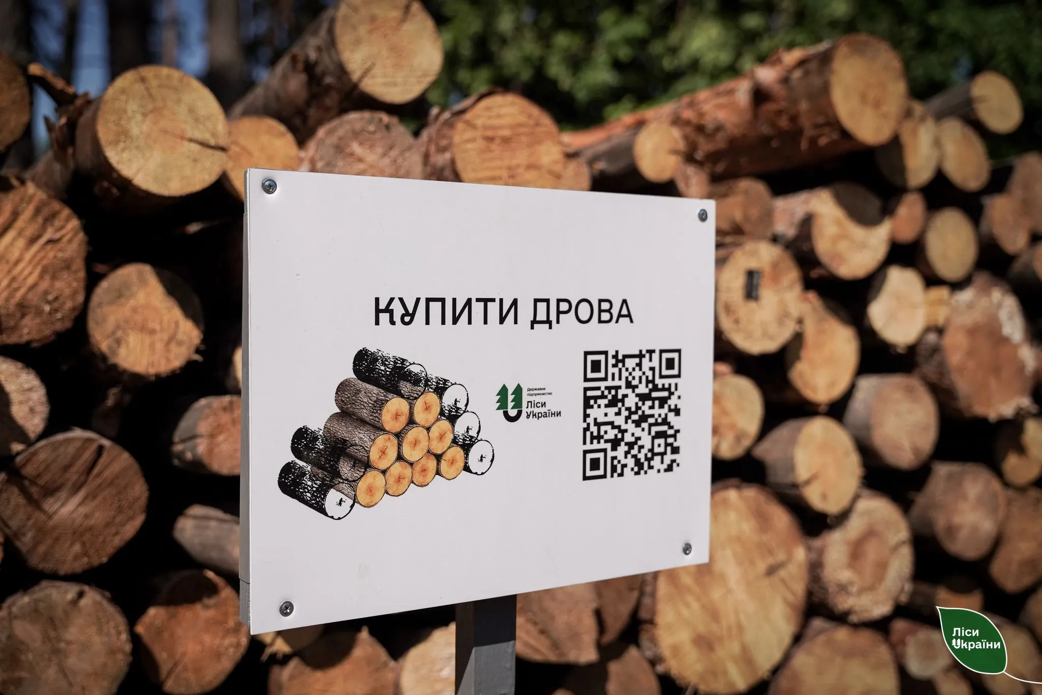 Підготовка до опалювального сезону: лісництва на Полтавщині продають дрова