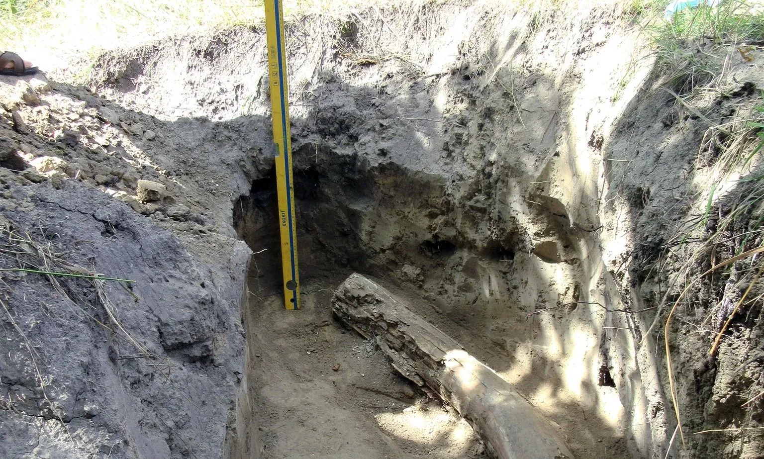 Знайдений на Оржиччині бивень мамонта: як його знайшли та що про знахідку розповідає археолог