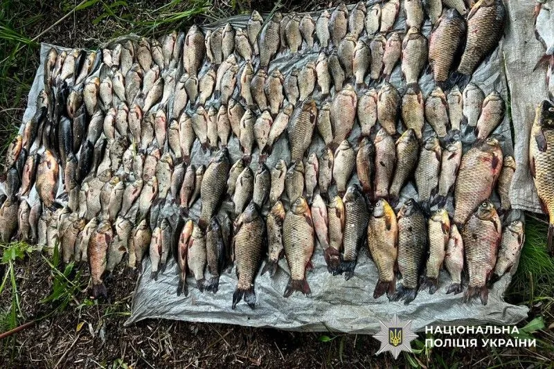 На Полтавщині незаконно виловили риби на майже 400 тисяч гривень