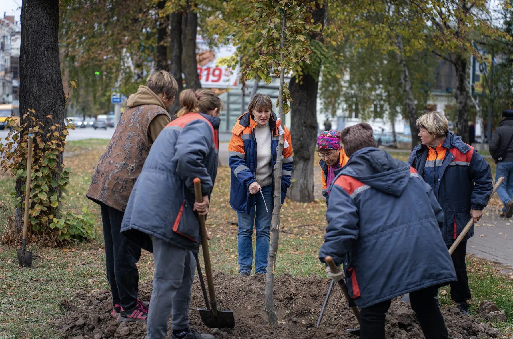 «Краще посадити менше, але гарно за ними доглянути»: як у Полтаві проводять осінню посадкову кампанію 