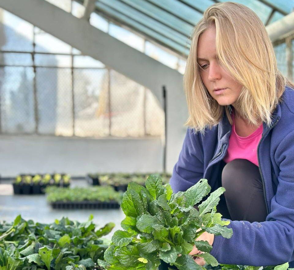 Старостати Полтавської громади отримали близько тисячі багаторічних рослин