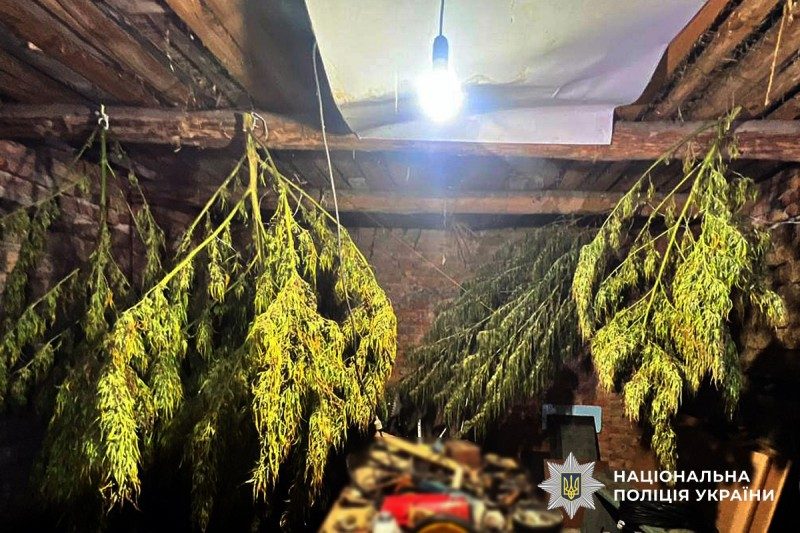 У жителя Полтавської області вилучили майже 6 кілограмів наркотиків