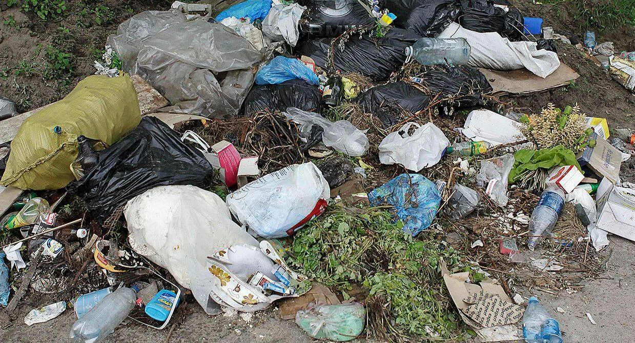 Клумбу на одній з вулиць Полтави знову перетворили на смітник