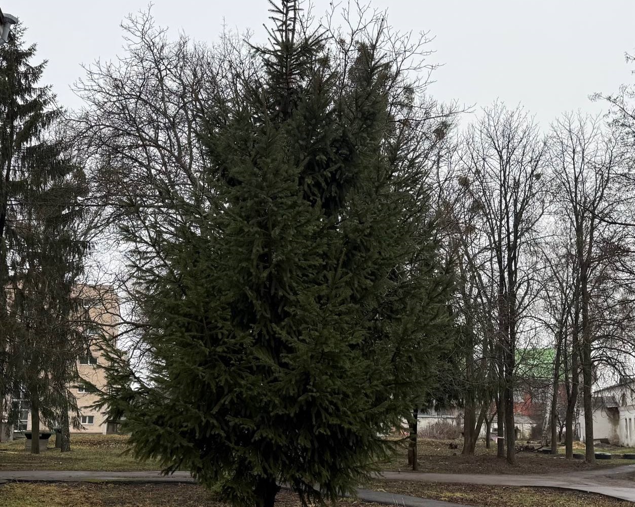 У центрі Полтави з’явиться новий сквер