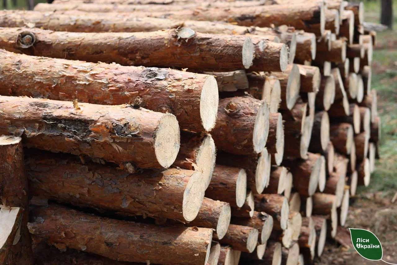 На Полтавщині лісництва залишають незмінні ціни на дрова до кінця опалювального сезону