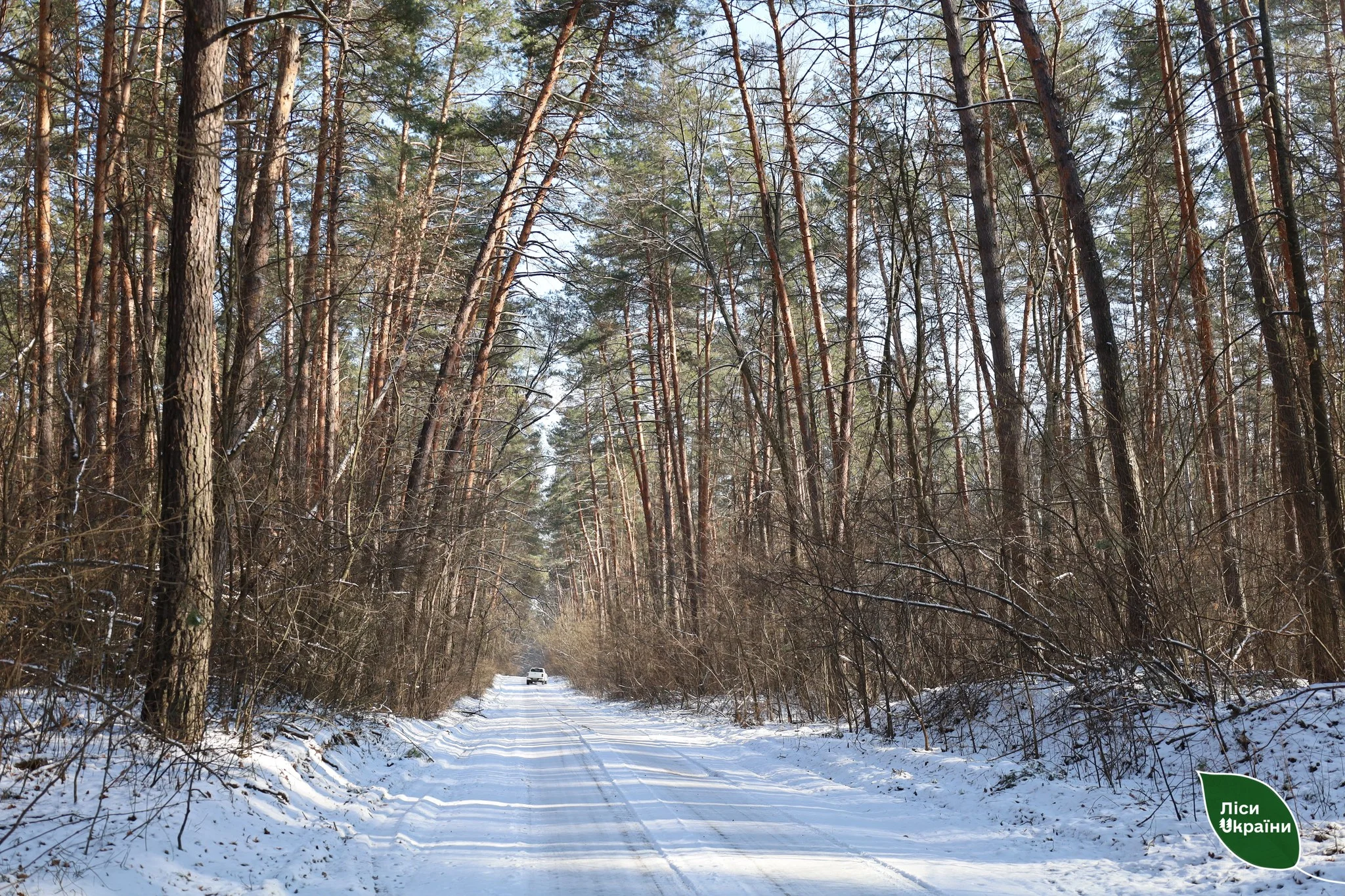 На Полтавщині задоволено позови на 42 млн грн за порушення екології