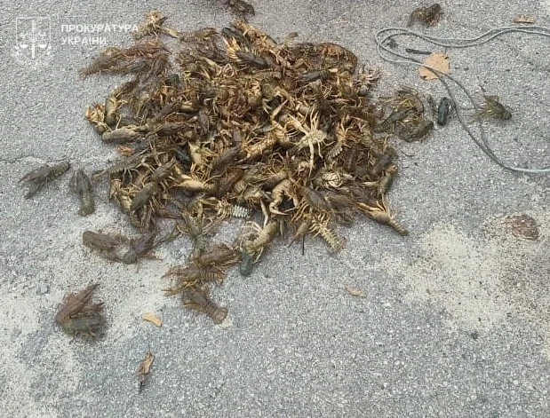 Двоє кременчуківців завдали шкоди довкіллю на майже 700 000 гривень