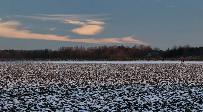 Громаді на Полтавщині повернуть понад 120 гектарів землі