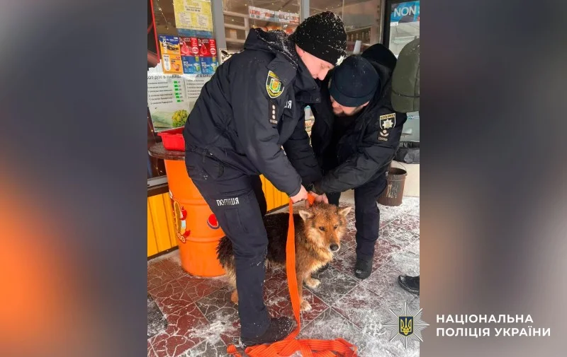 На Полтавщині поліціянти врятували собаку з відкритого каналізаційного люка