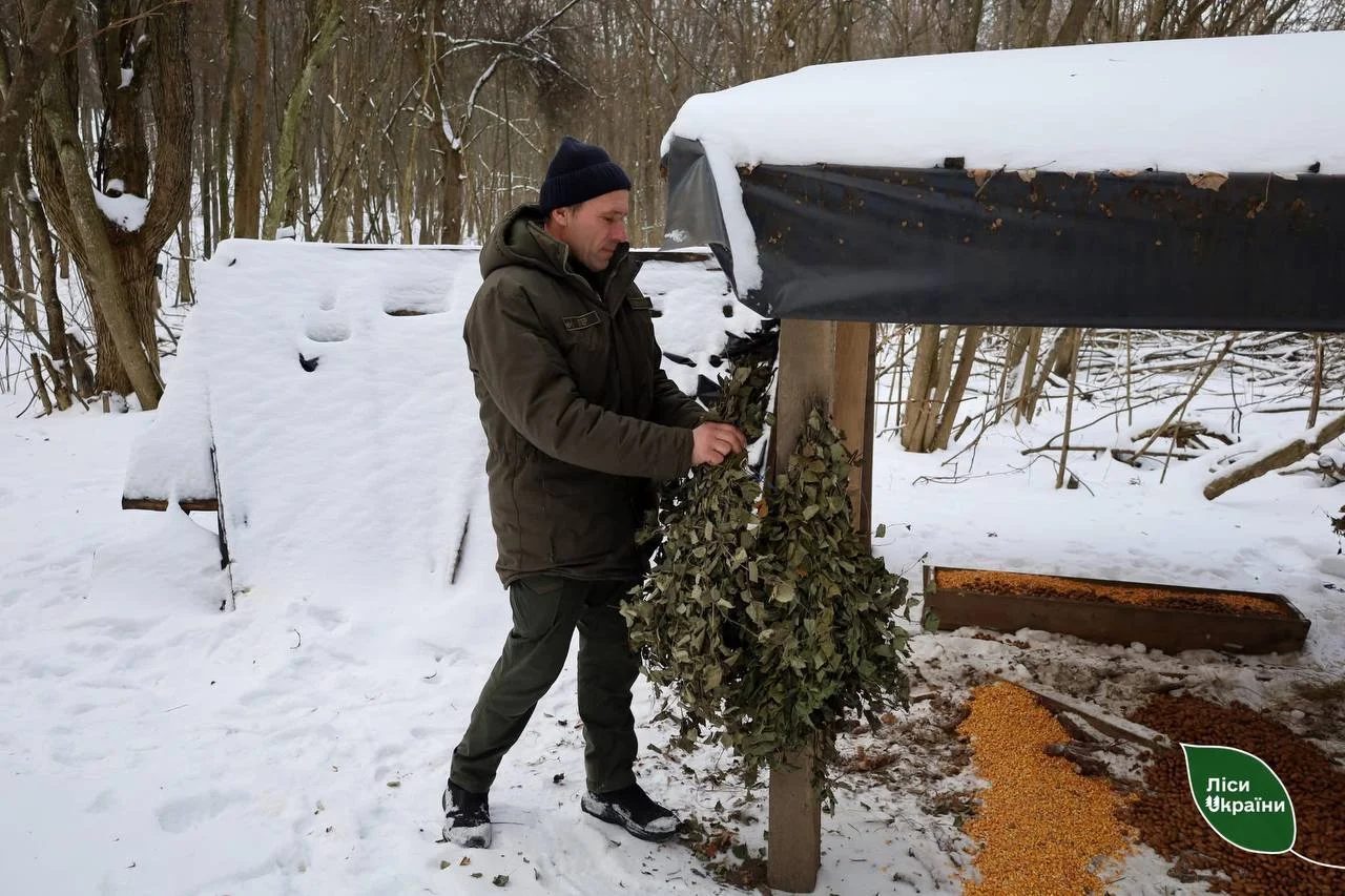 На Полтавщині лісівники посилили підгодівлю диких тварин через морози