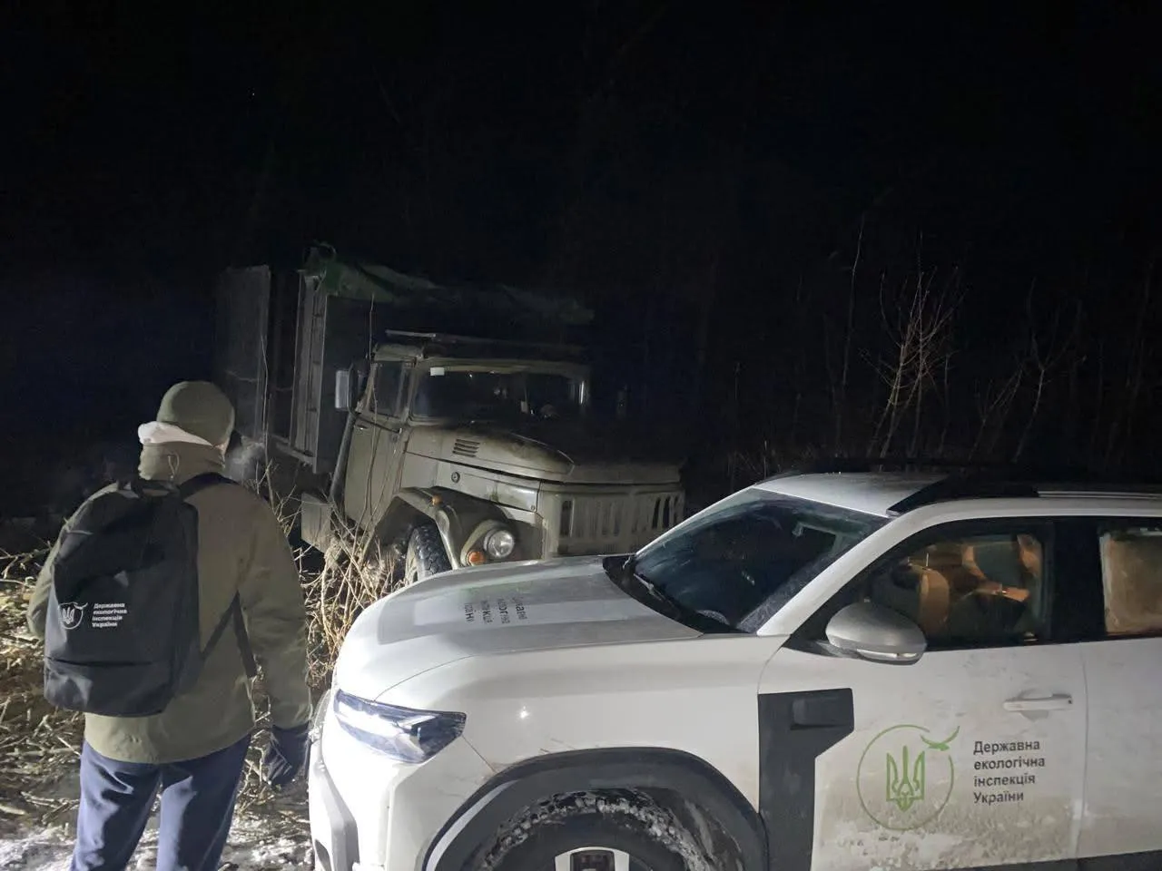 Порубка лісосмуги на Полтавщині завдала збитків понад 585 тисяч гривень 