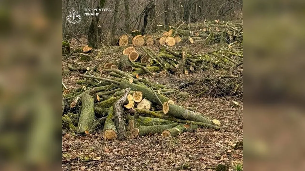 На Полтавщині викрили «чорних лісорубів» зі збитками понад три мільйони гривень