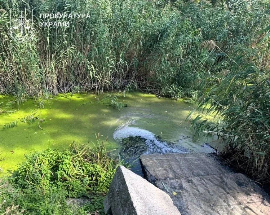 Через забруднення річки на Полтавщині судитимуть працівника «Полтававодоканалу»