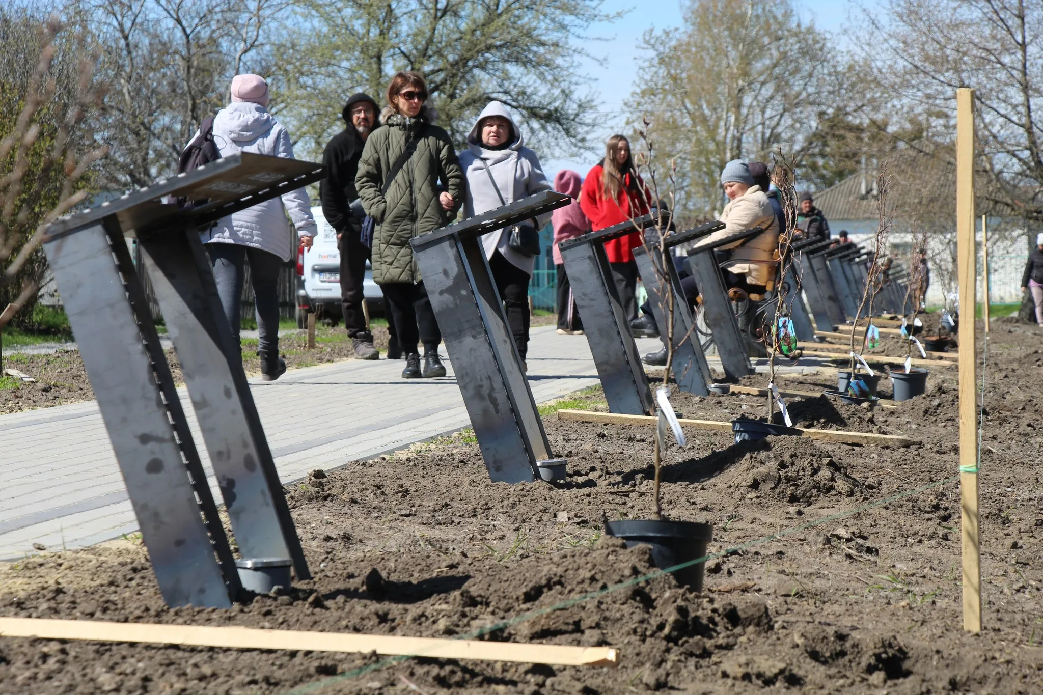 В Опішнянській громаді висадили Алею Героїв із 30 буків