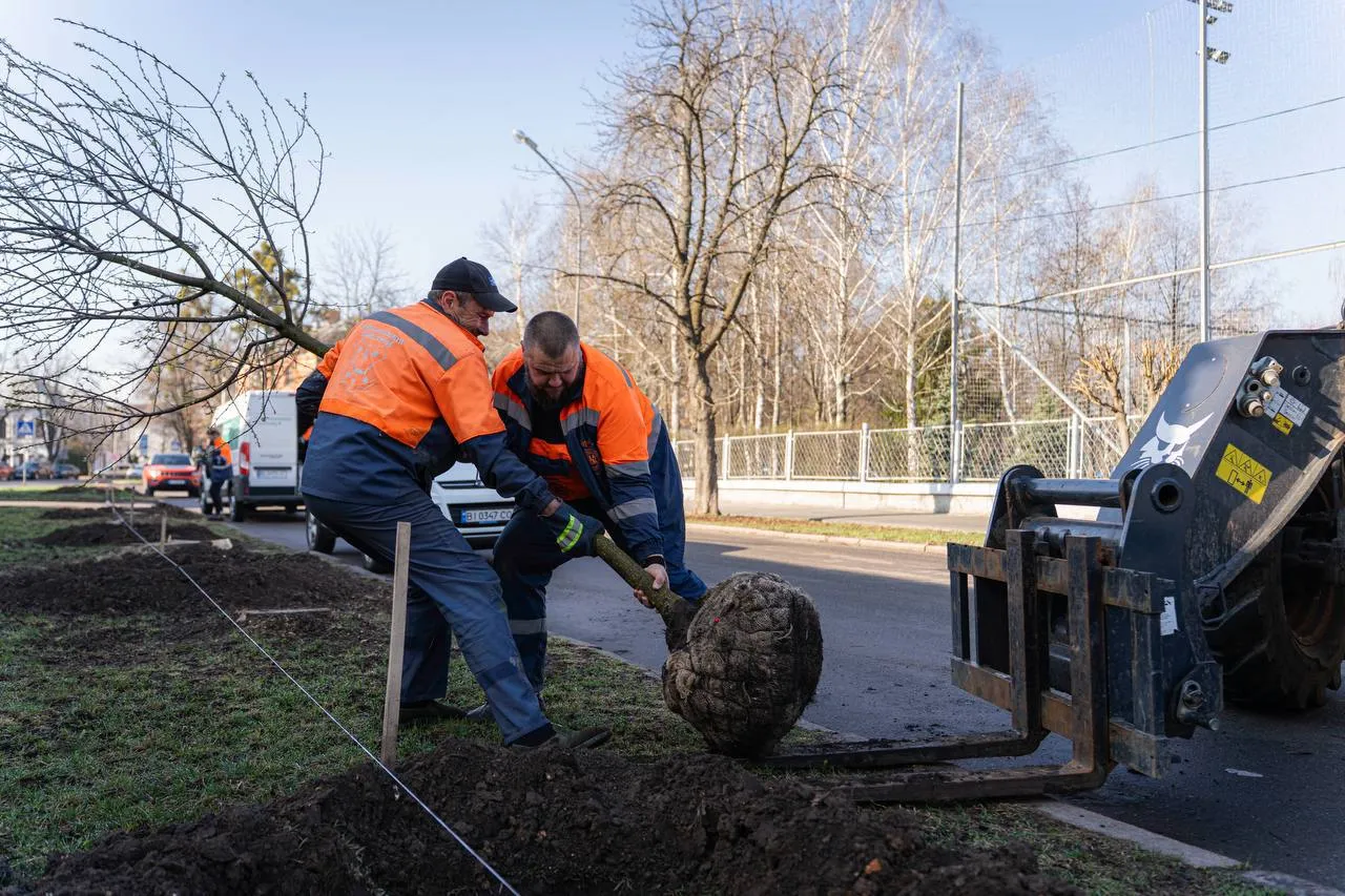 У Полтаві за тиждень висадили понад 50 нових рослин