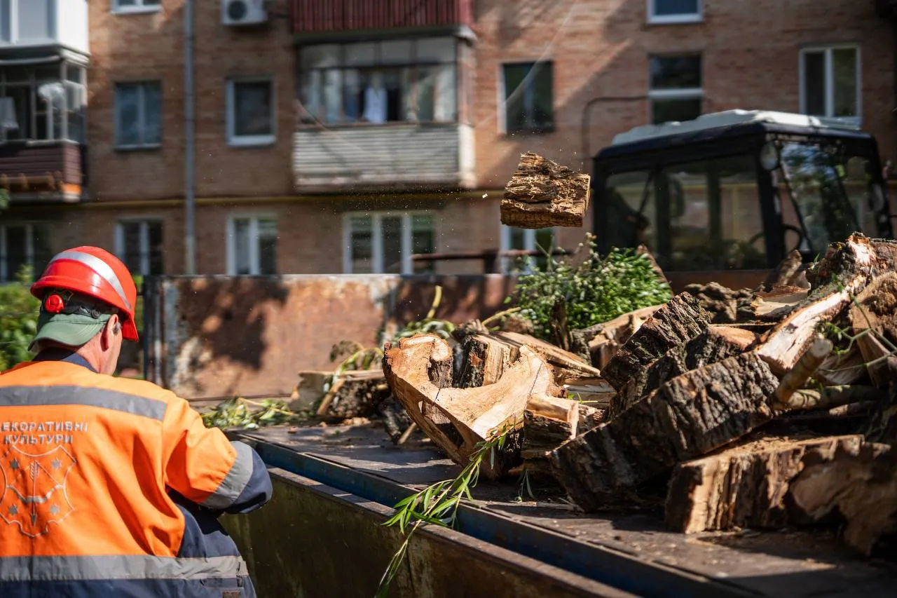 У Полтаві утричі зросли обсяги обрізки та видалення аварійних дерев