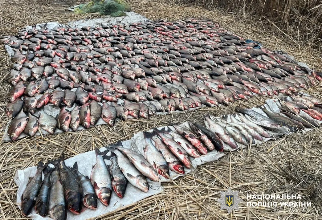 На Полтавщині двоє чоловіків незаконно виловили риби на понад 4 мільйони гривень