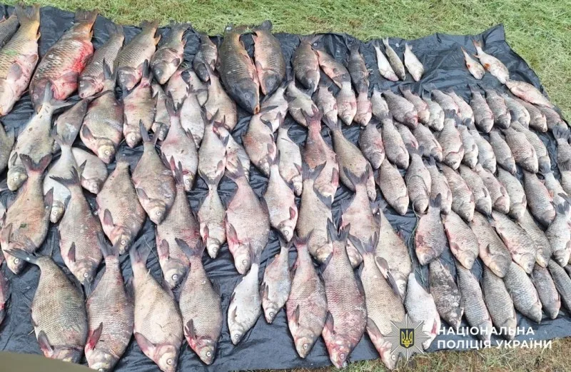 Понад 235 тисяч гривень збитків: на Полтавщині виявили порушника нерестової заборони
