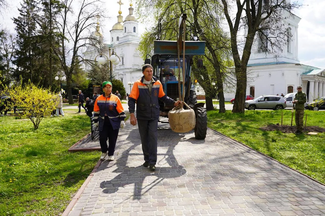 У Соборному сквері Полтави висадили дерева у пам’ять про захисників і захисниць