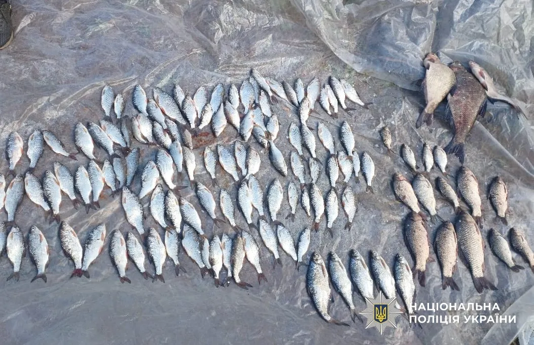 На Кременчуцькому водосховищі чоловік незаконно наловив риби на понад 200 000 гривень