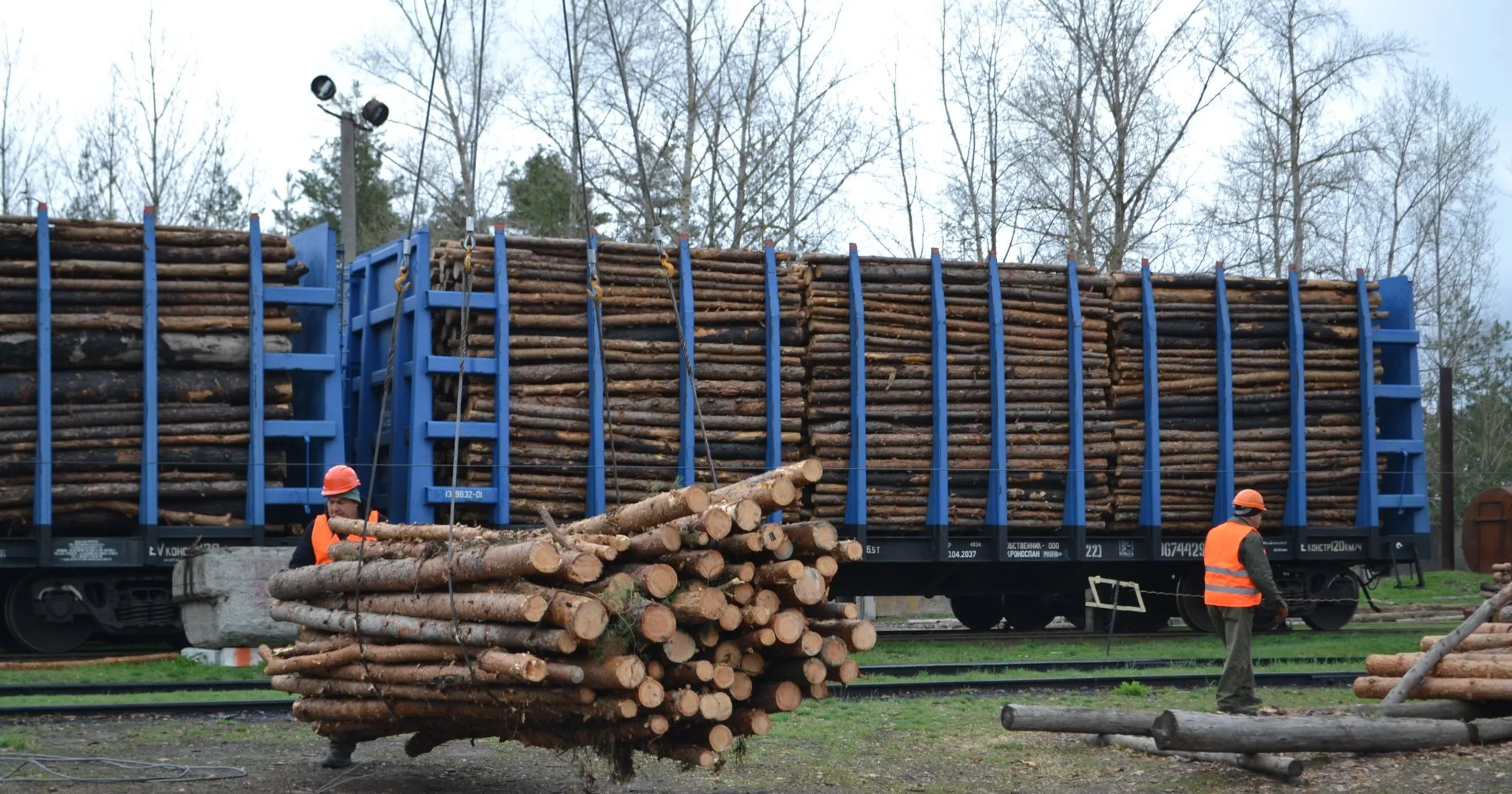 Лісництва Полтавщини збільшили обсяги постачання деревини для потреб військових