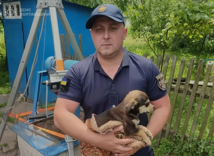 У Лубенському районі врятували цуценя